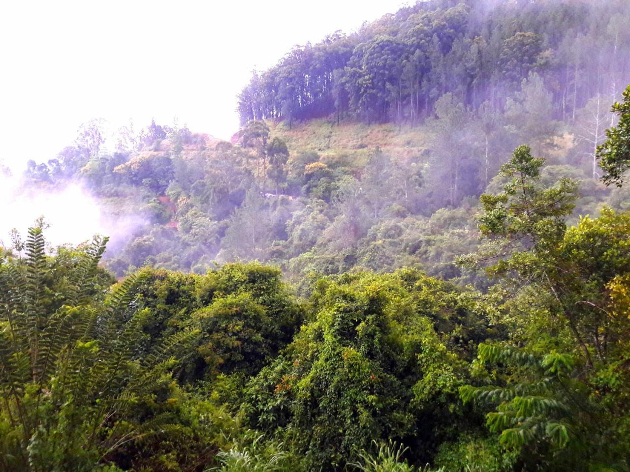 Green Paradise エッラ エクステリア 写真
